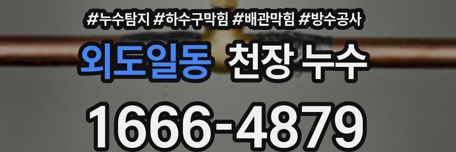 외도일동 천장 누수