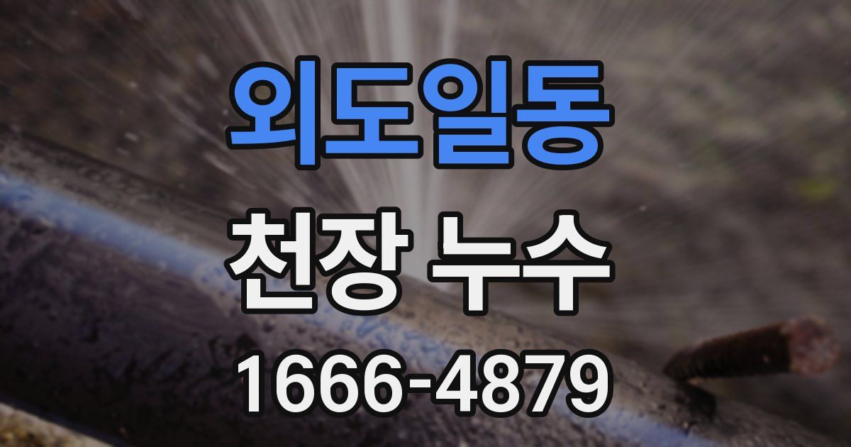 외도일동 천장 누수