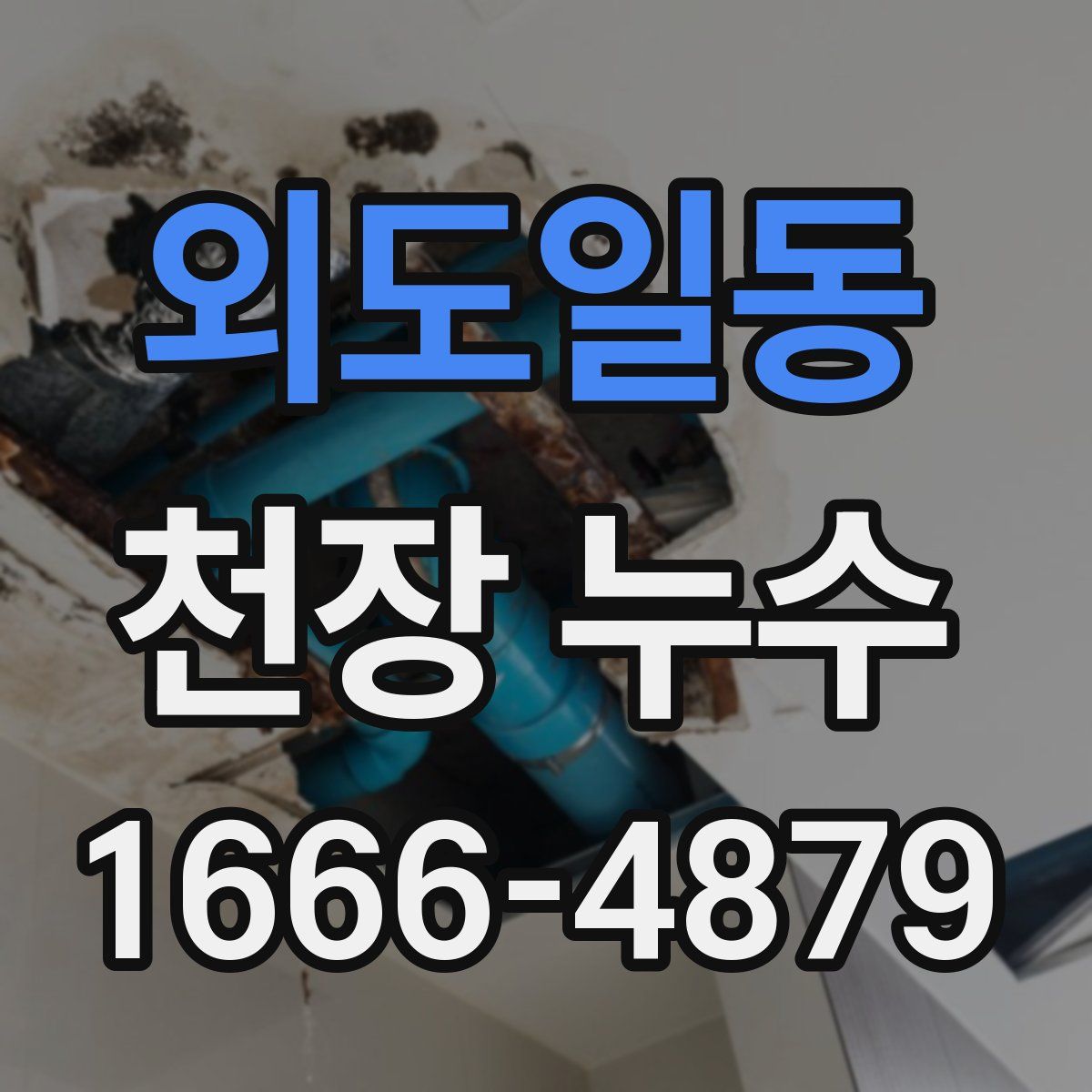 외도일동 천장 누수