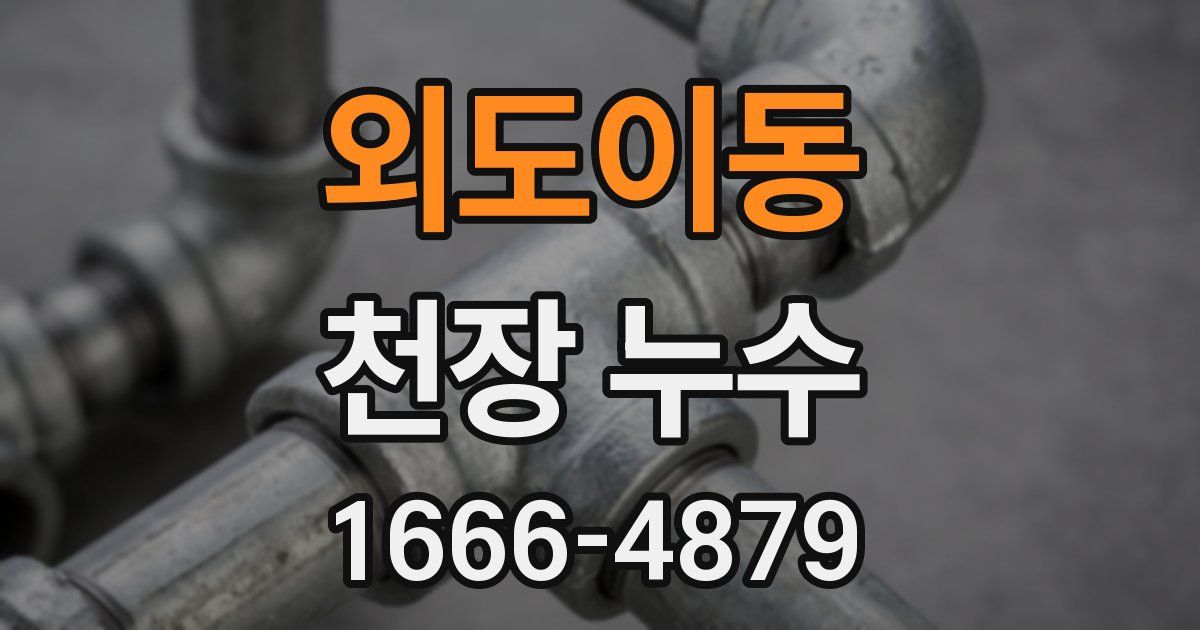 외도이동 천장 누수