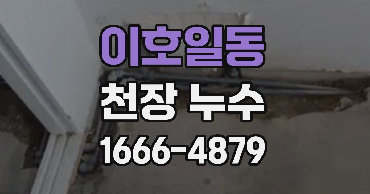 이호일동 천장 누수