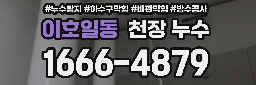 이호일동 천장 누수