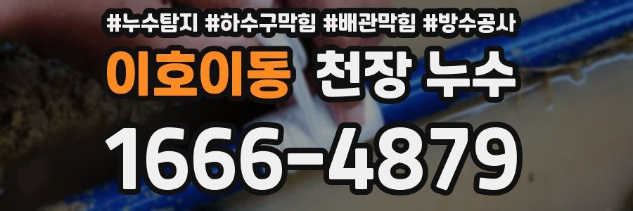이호이동 천장 누수