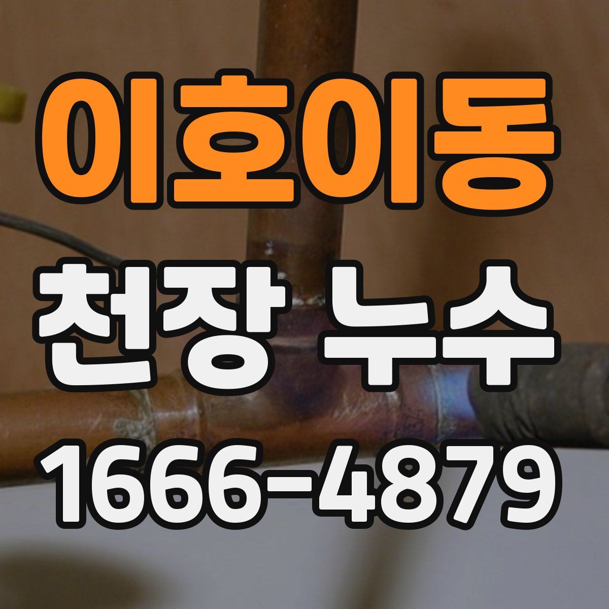 이호이동 천장 누수