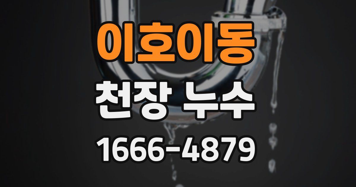 이호이동 천장 누수