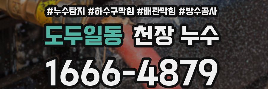 도두일동 천장 누수