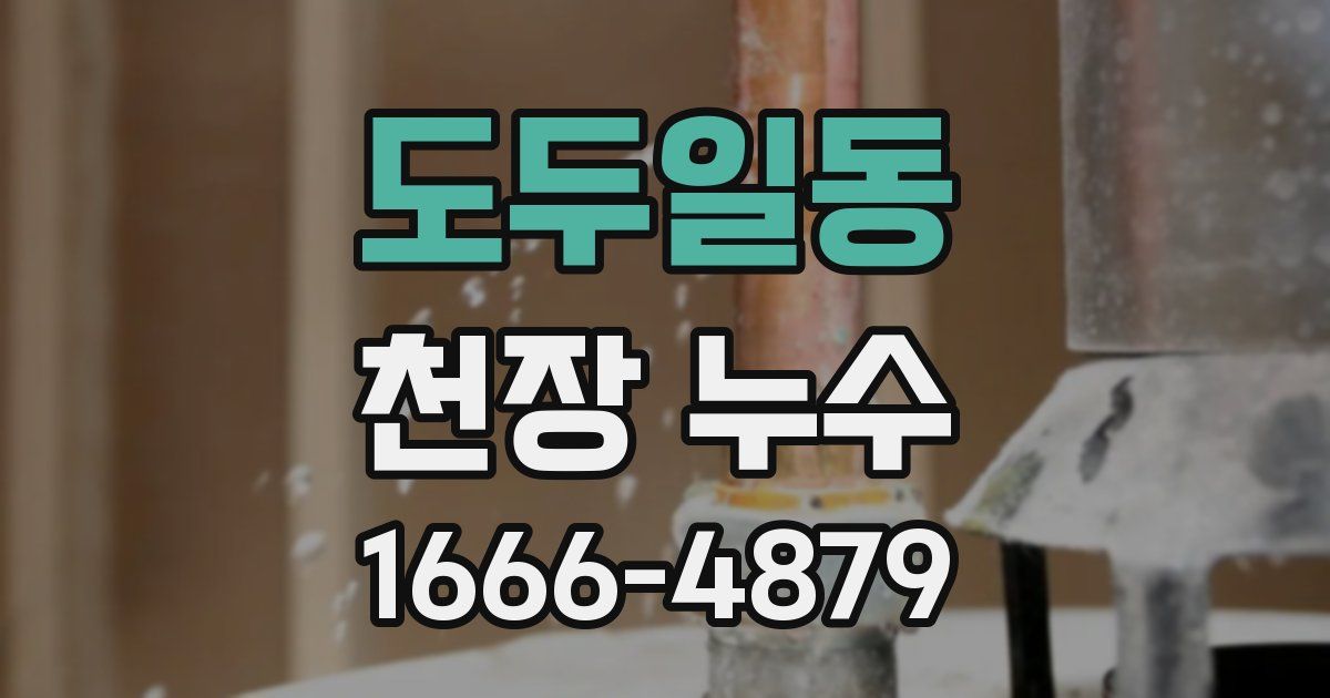 도두일동 천장 누수