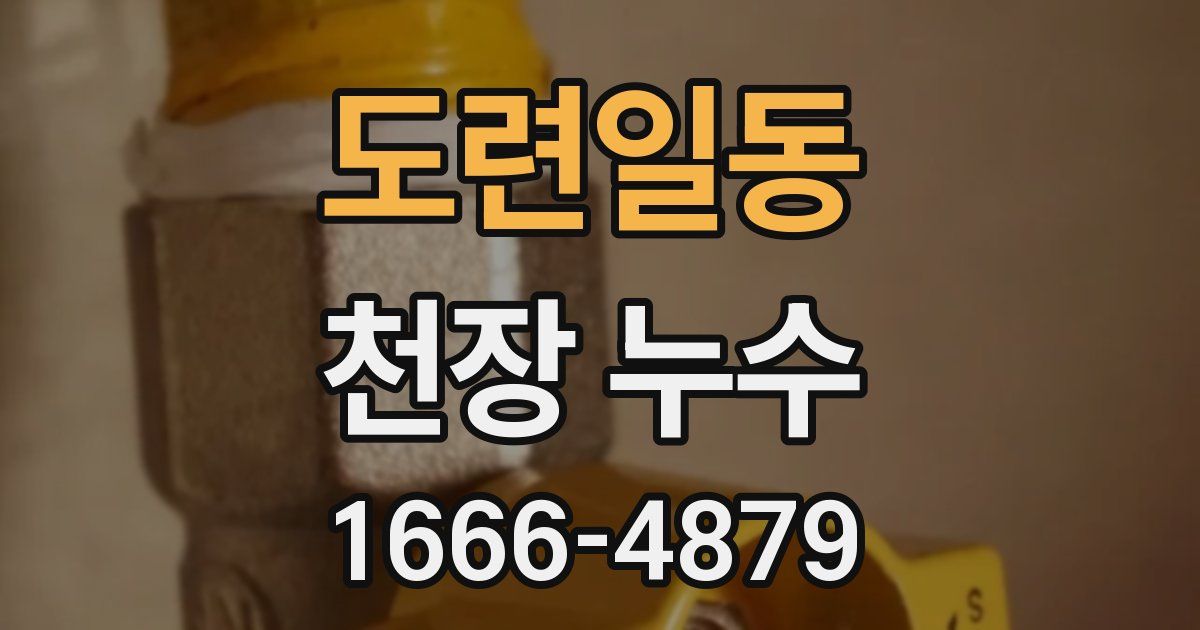 도련일동 천장 누수