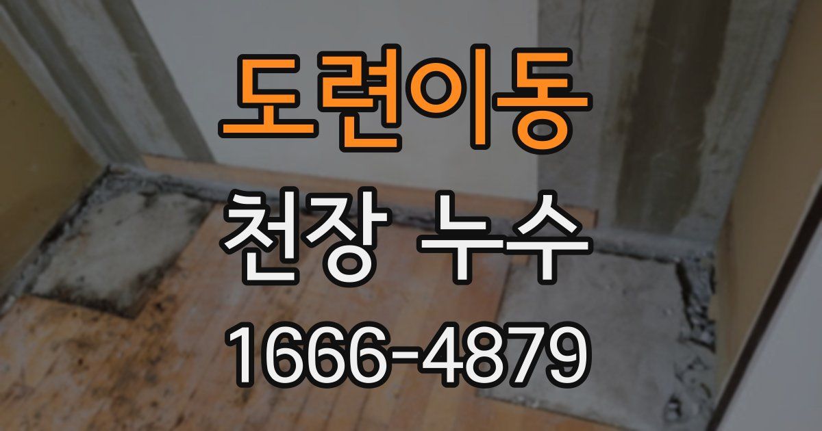 도련이동 천장 누수