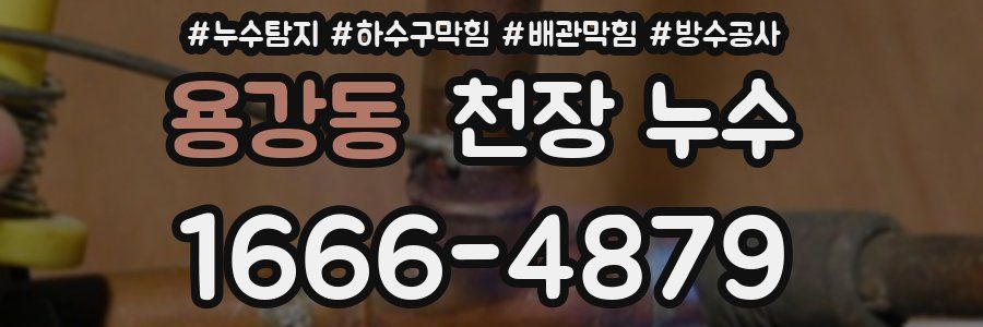 용강동 천장 누수