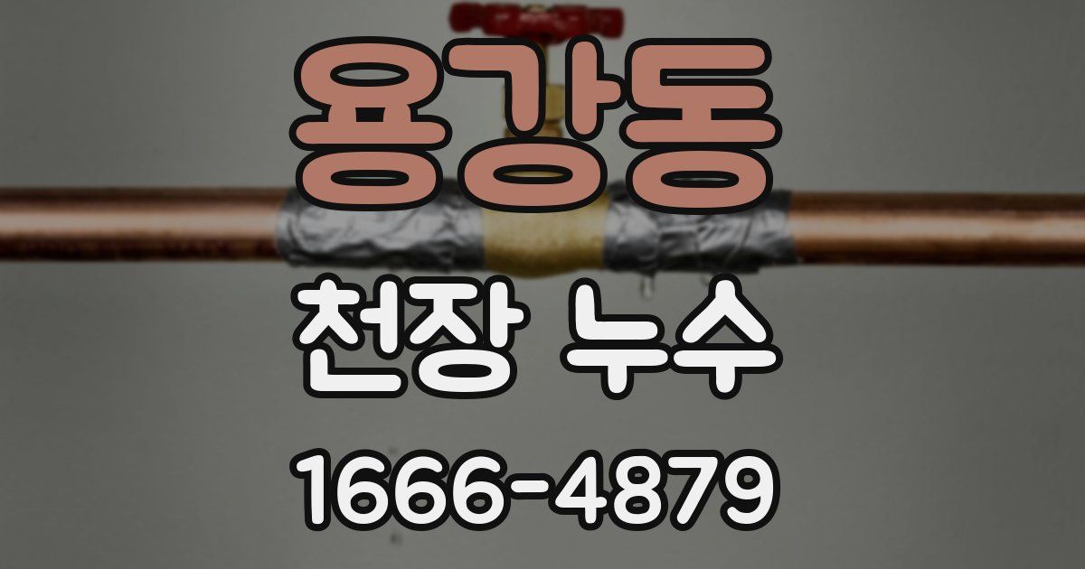 용강동 천장 누수