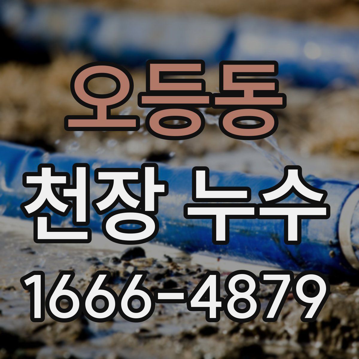 오등동 천장 누수