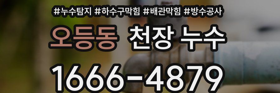 오등동 천장 누수