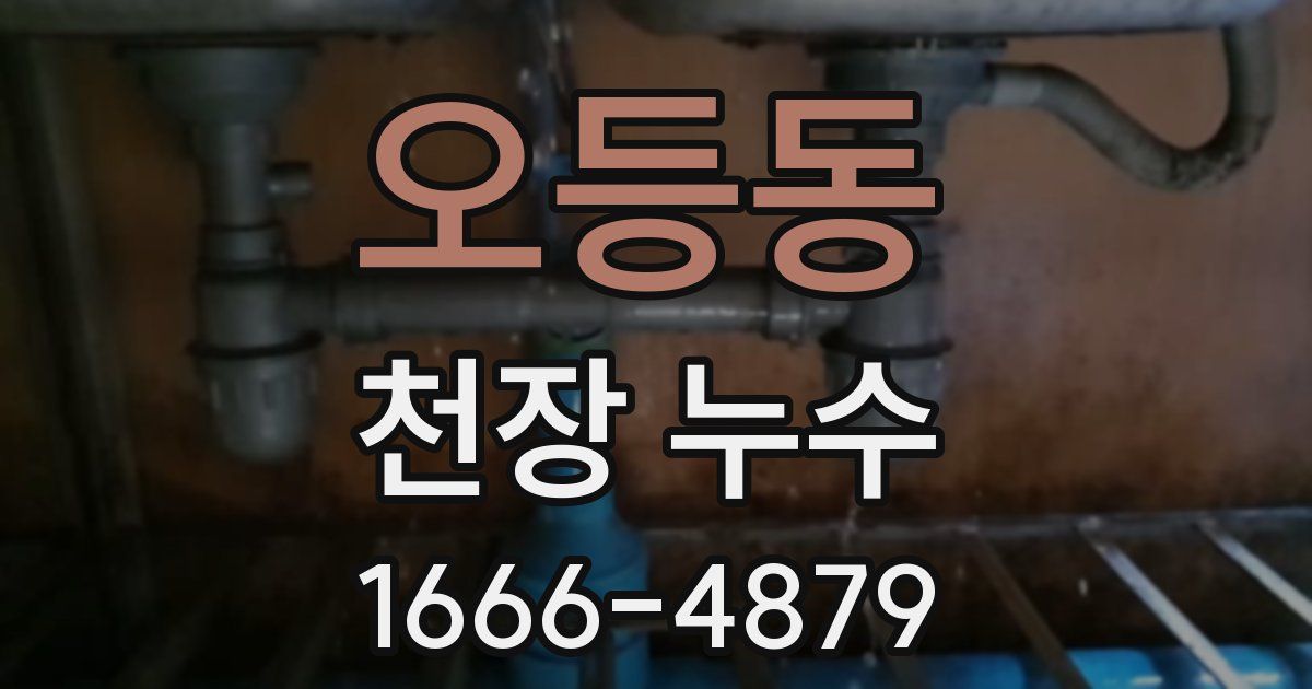 오등동 천장 누수