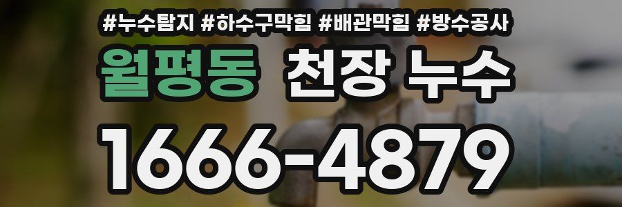 월평동 천장 누수