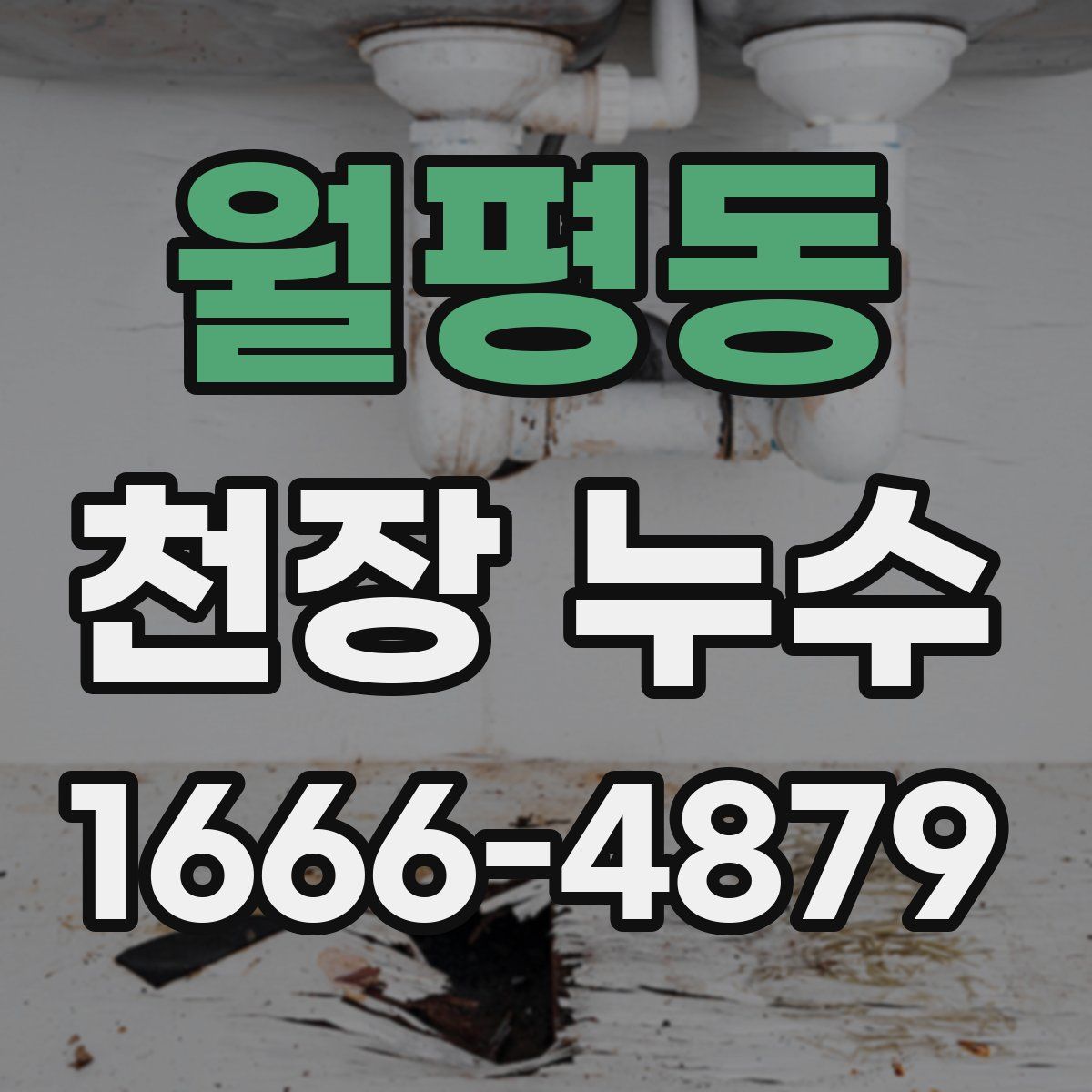 월평동 천장 누수