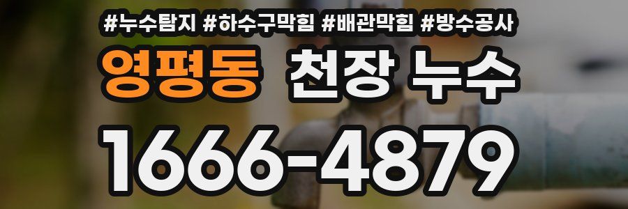 영평동 천장 누수