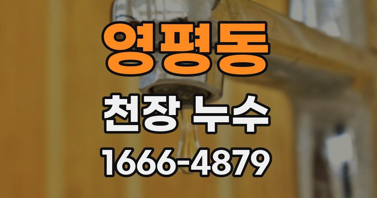 영평동 천장 누수
