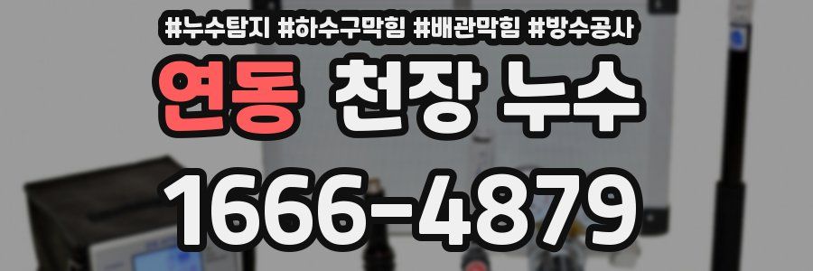 연동 천장 누수