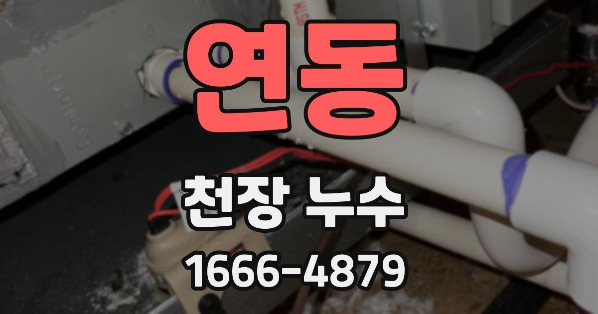 연동 천장 누수