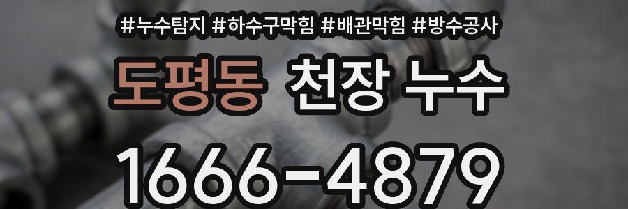 도평동 천장 누수