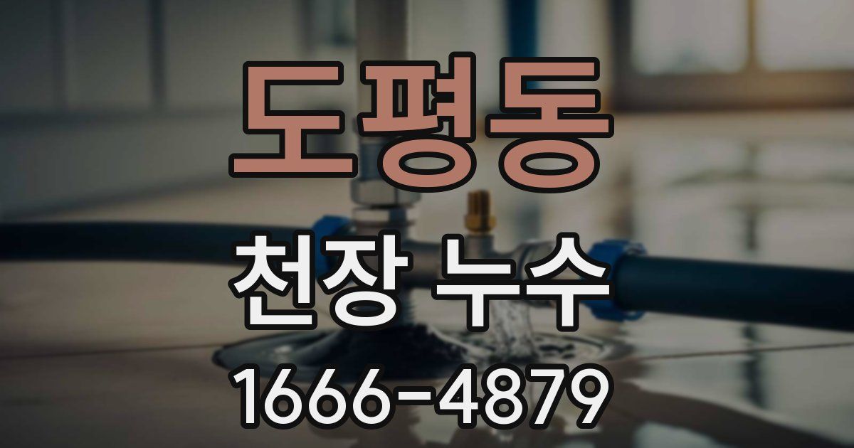 도평동 천장 누수