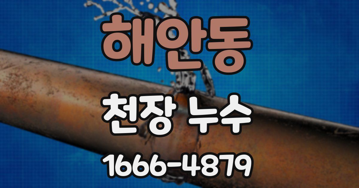 해안동 천장 누수