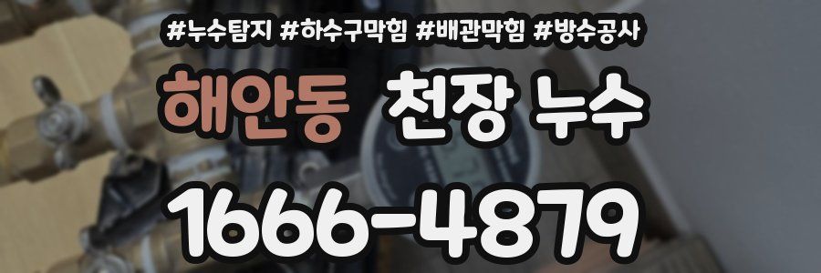 해안동 천장 누수