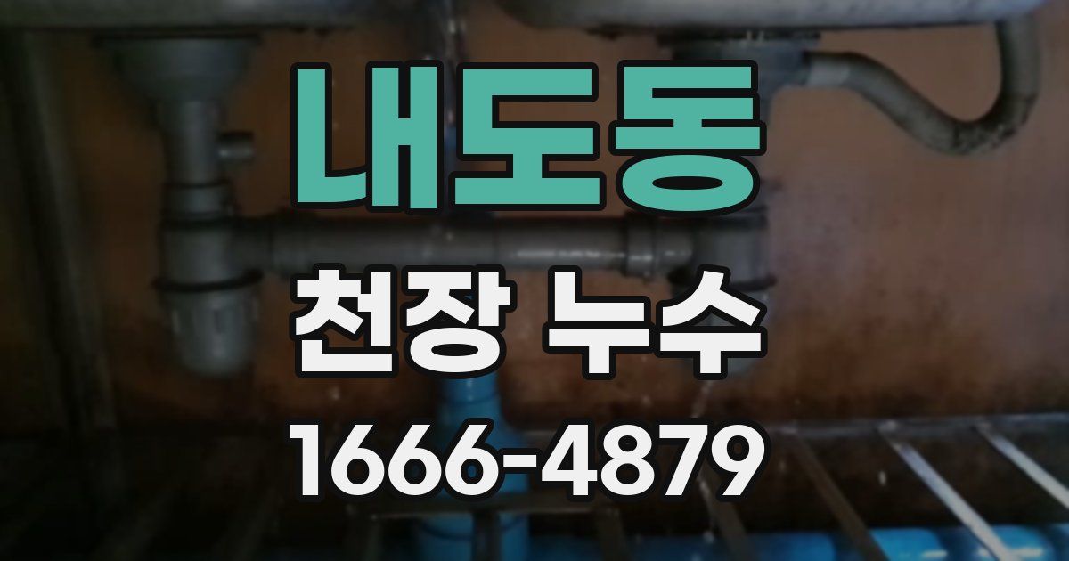 내도동 천장 누수