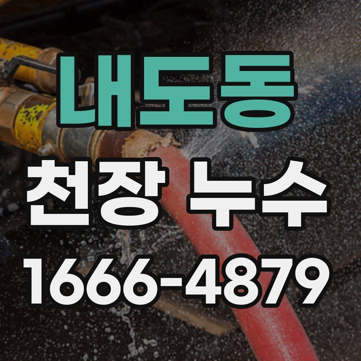 내도동 천장 누수