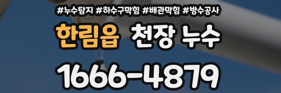 한림읍 천장 누수