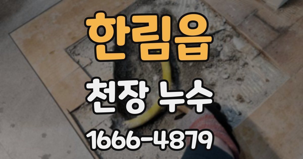 한림읍 천장 누수