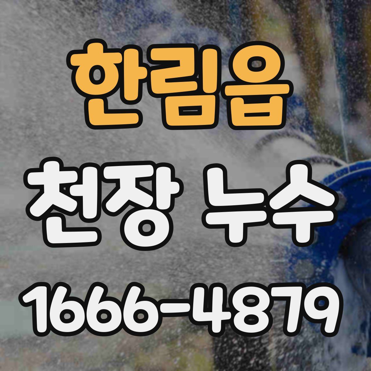 한림읍 천장 누수