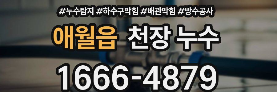애월읍 천장 누수