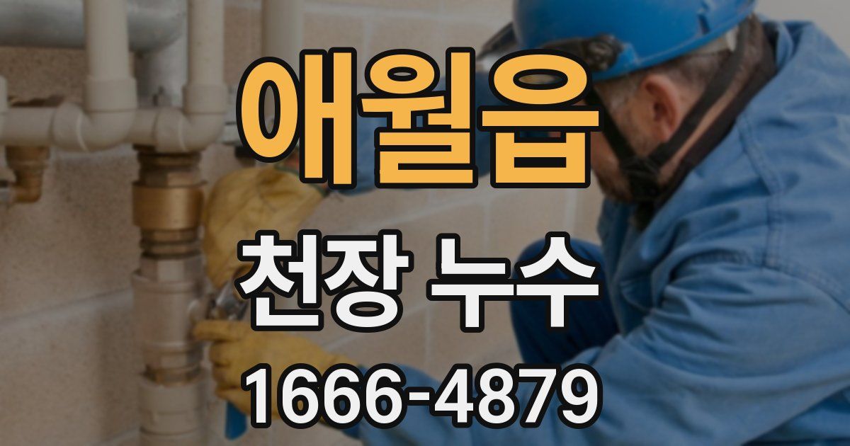 애월읍 천장 누수