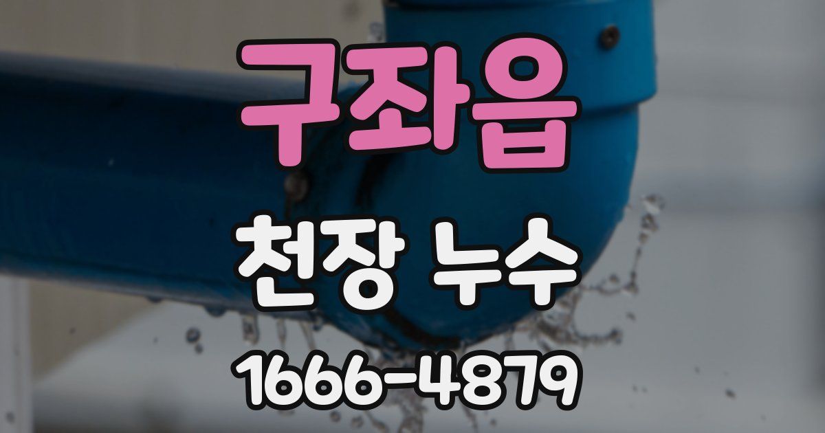 구좌읍 천장 누수