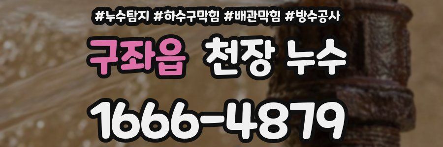 구좌읍 천장 누수