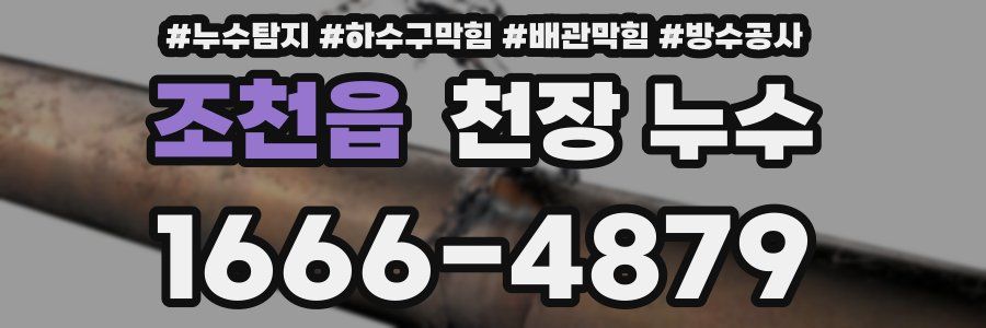 조천읍 천장 누수