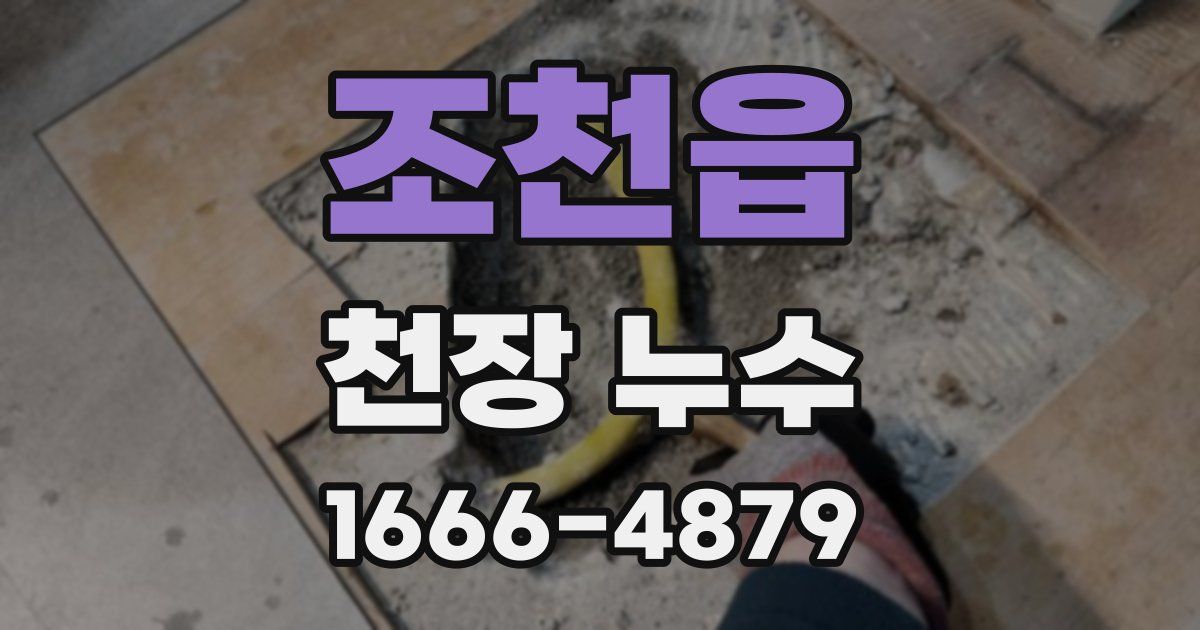 조천읍 천장 누수