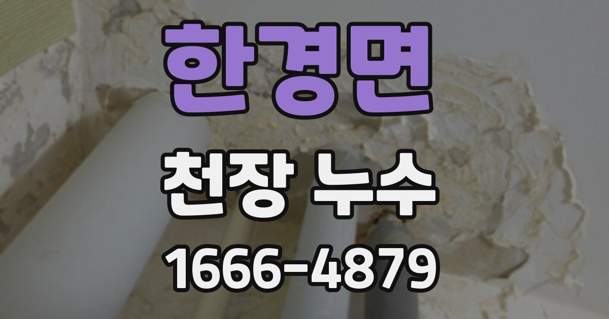 한경면 천장 누수