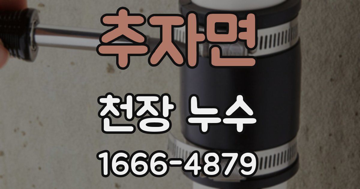 추자면 천장 누수