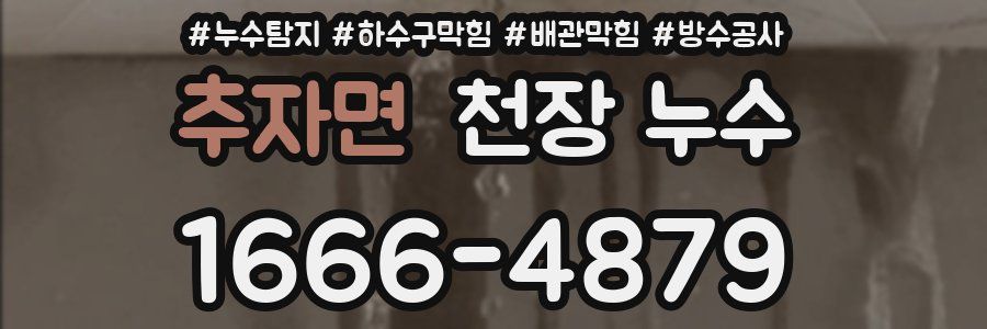추자면 천장 누수