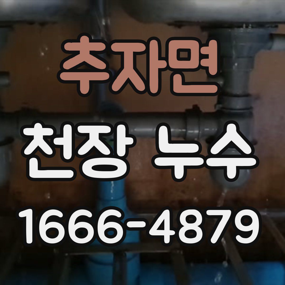 추자면 천장 누수