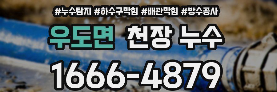 우도면 천장 누수