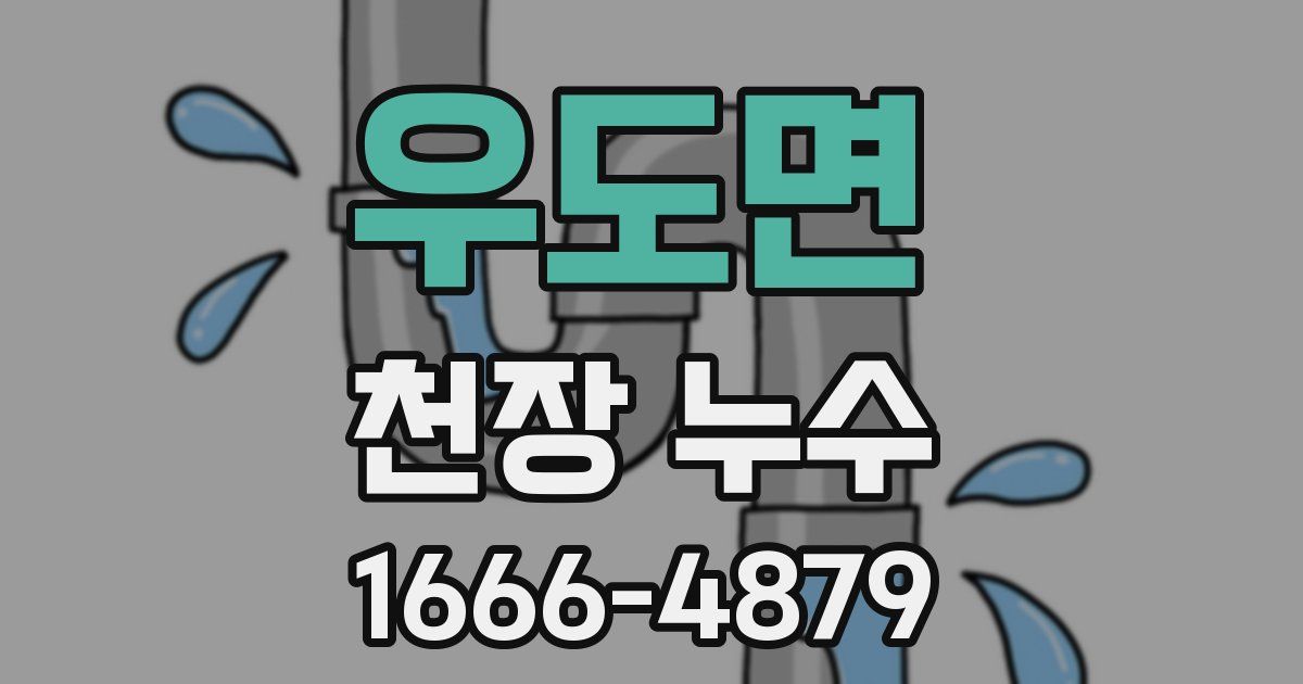 우도면 천장 누수