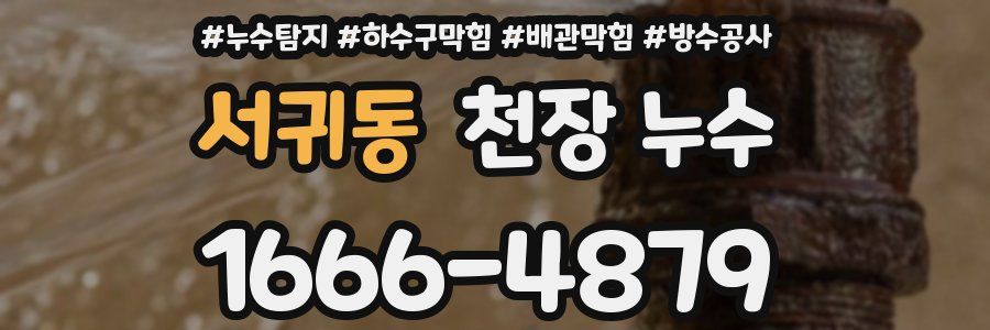 서귀동 천장 누수