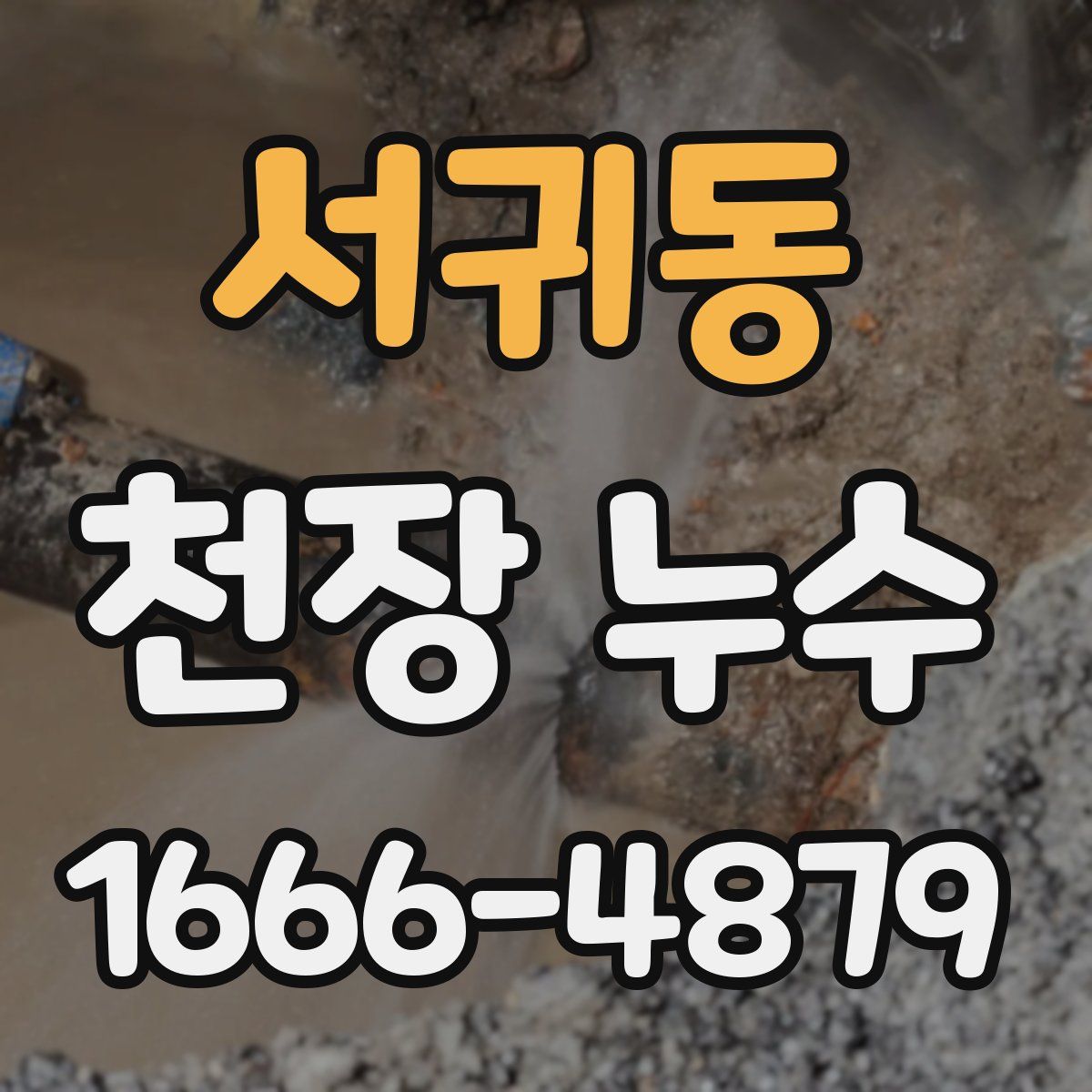 서귀동 천장 누수