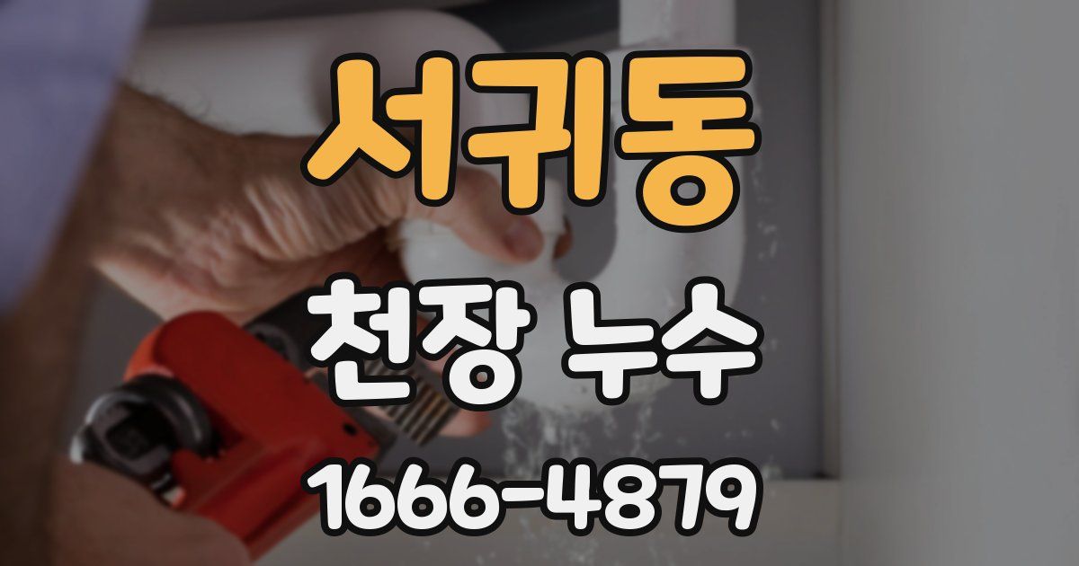 서귀동 천장 누수