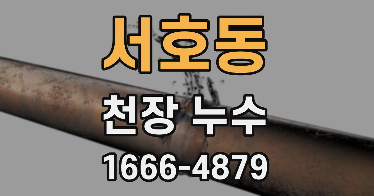 서호동 천장 누수