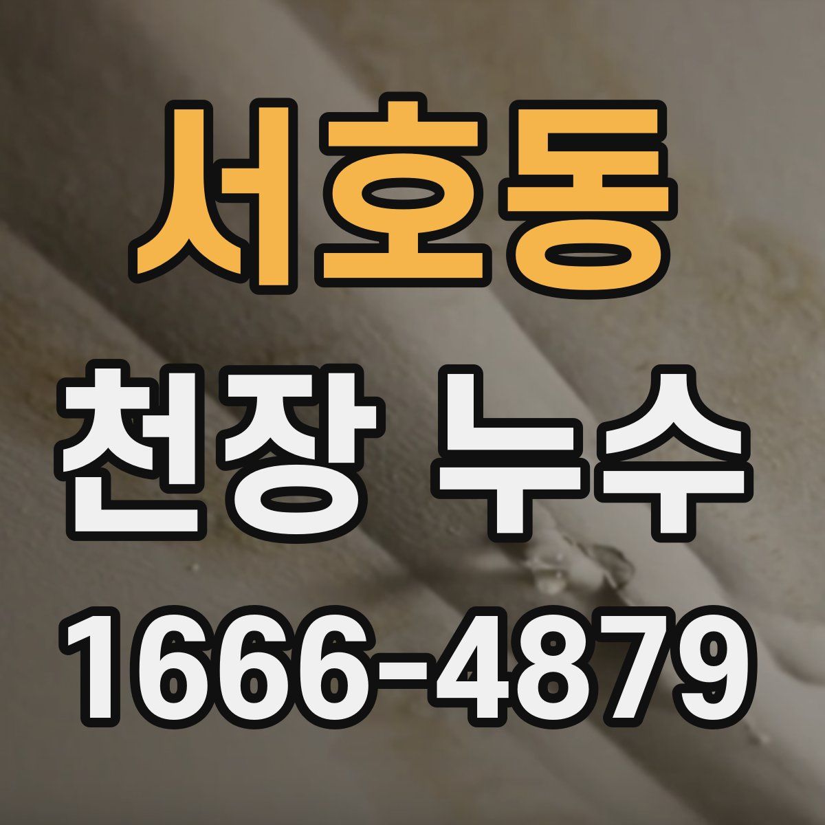 서호동 천장 누수